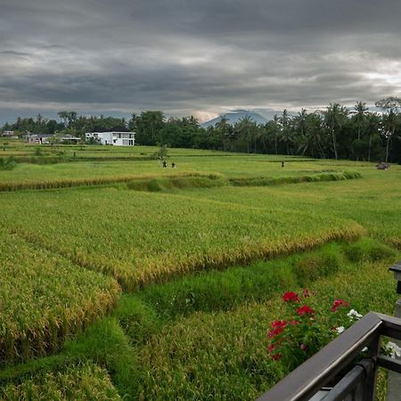 Ananditha Villa Ubud Ricefield Views 外观 照片